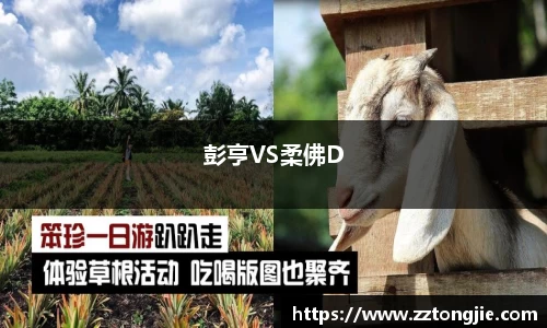 xk体育