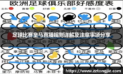 xk体育官网